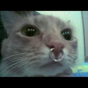 Meet your Posher, Aimy